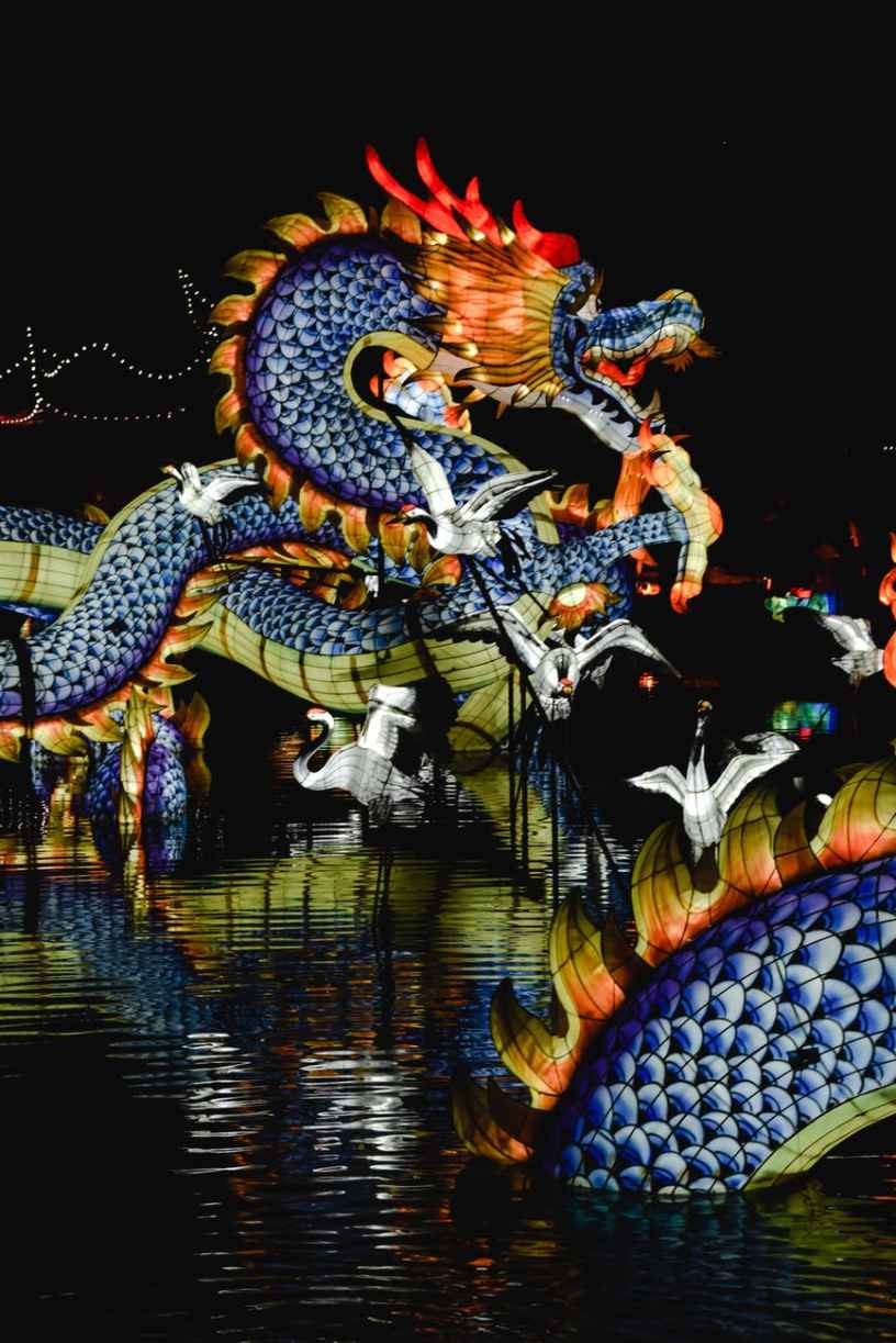 dragon festival during nighttime